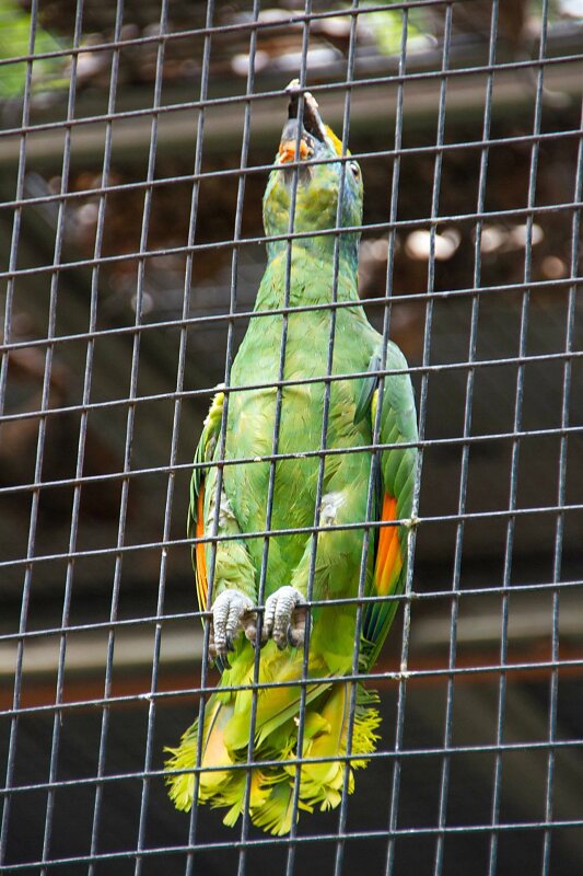 01-IMG-8812.jpg