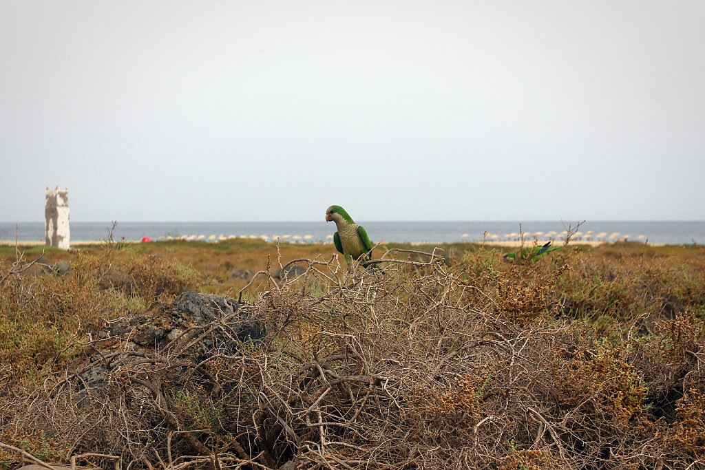 IMG-8773.jpg