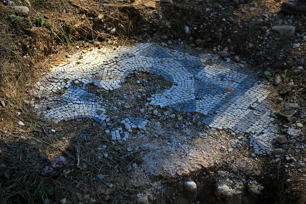 IMG-6667.jpg