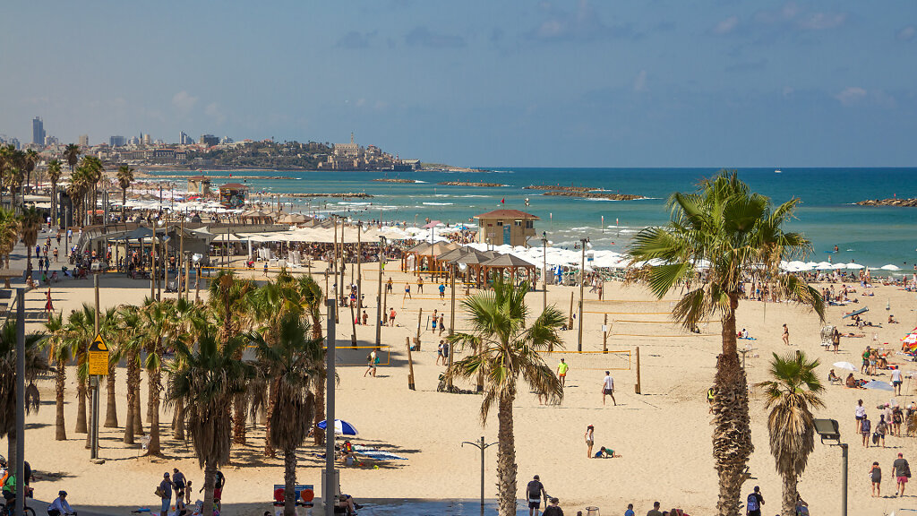 TLV-0008.jpg