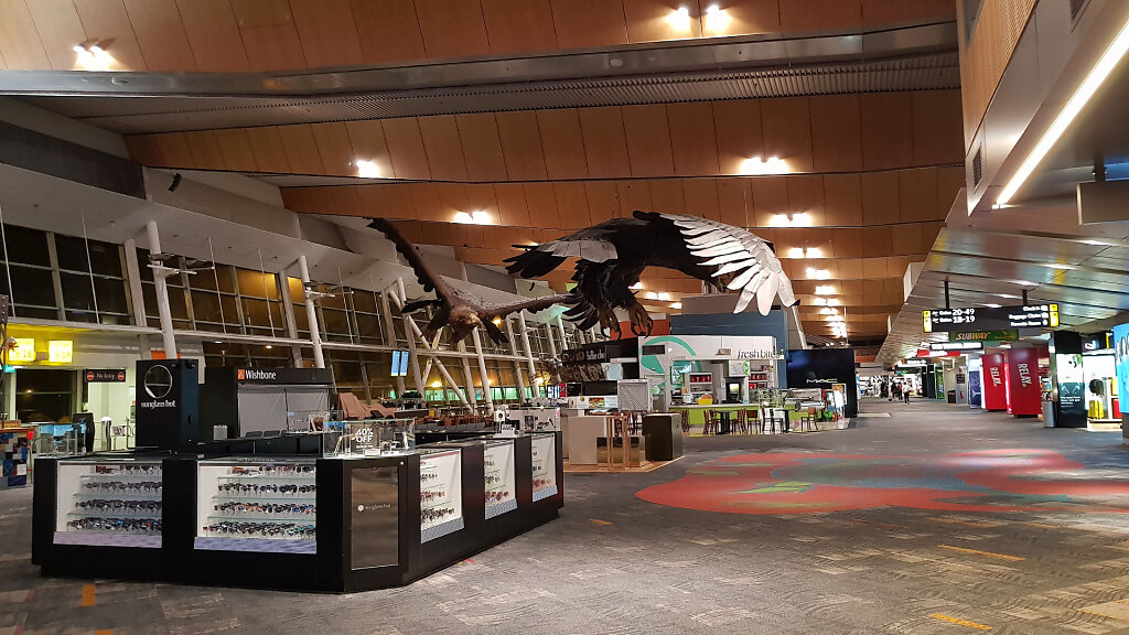 Wellington Airport