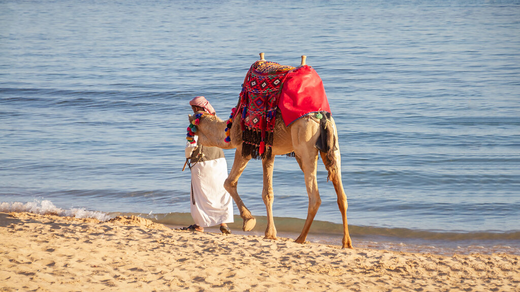 EGY-0086.jpg