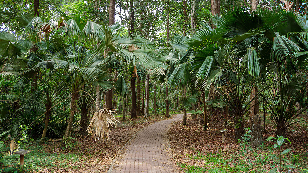 Thung Khai Botanic Garden