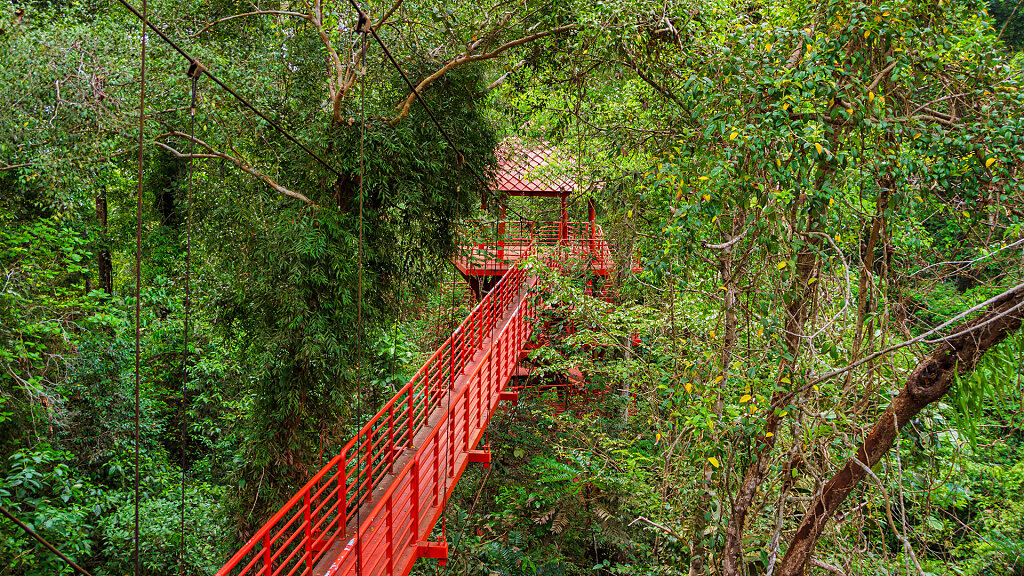 Thung Khai Botanic Garden