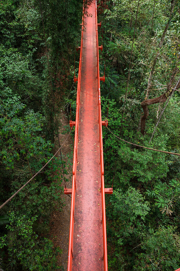 Thung Khai Botanic Garden