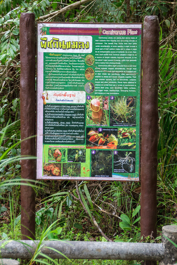 Thung Khai Botanic Garden