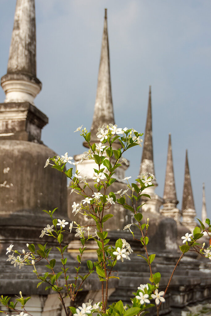 Wat Phra Mahathat Woramahawihan