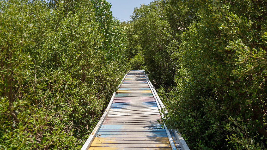 Rainbow Wooden Bridge // สะพานไม้สายรุ้ง