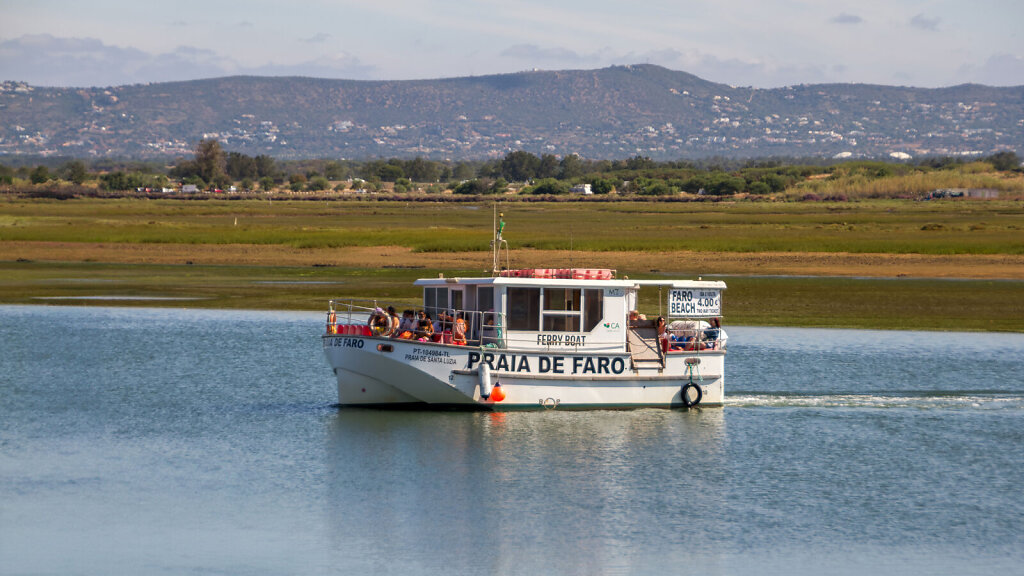 20250612095954-FARO0004.jpg
