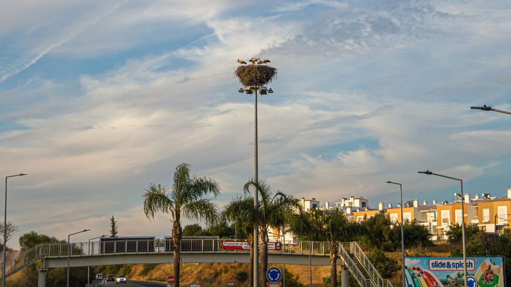 20250614195810-FARO0381.jpg
